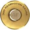 300 Remington SAUM Ammo